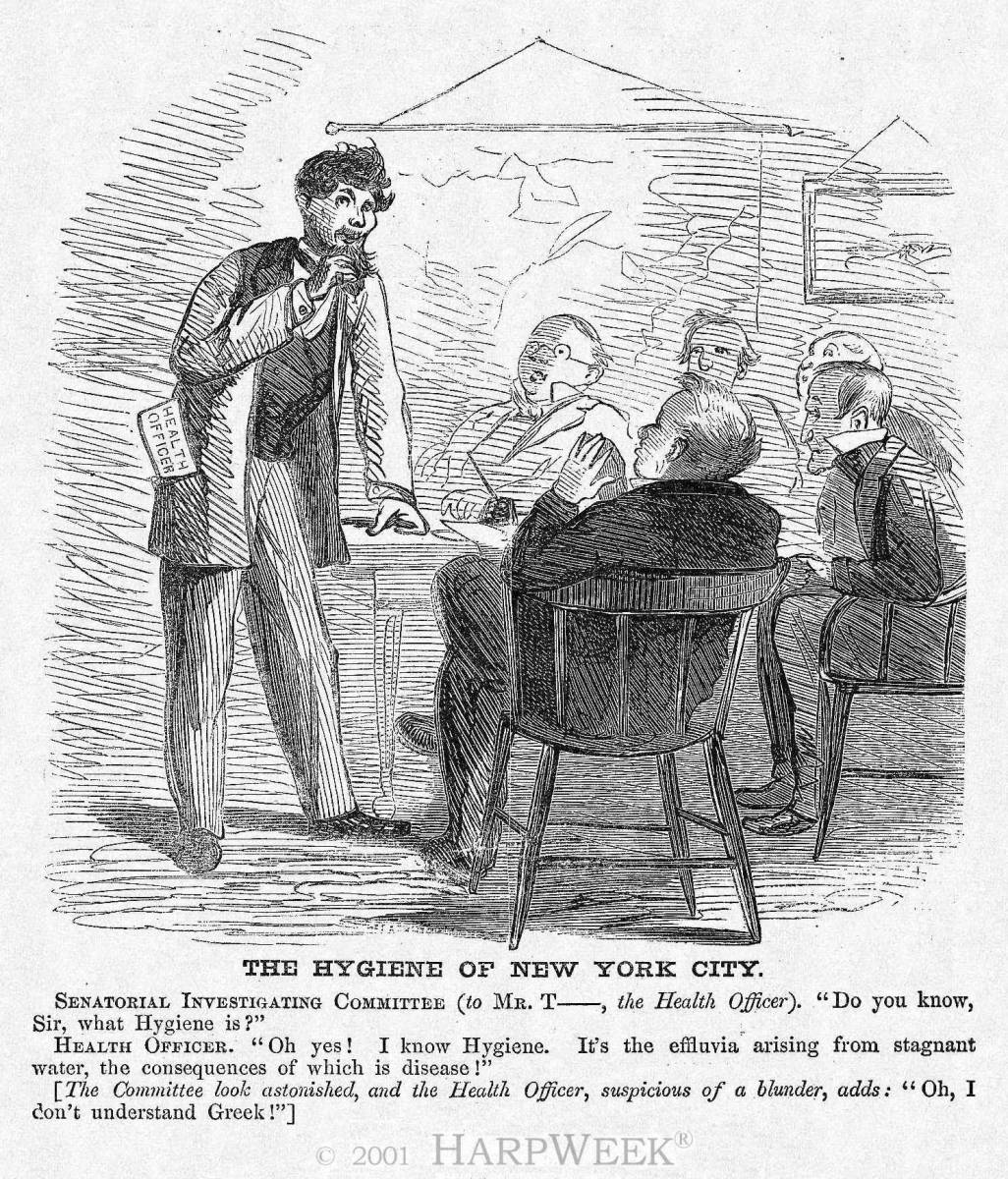 �The Hygiene of New York City�