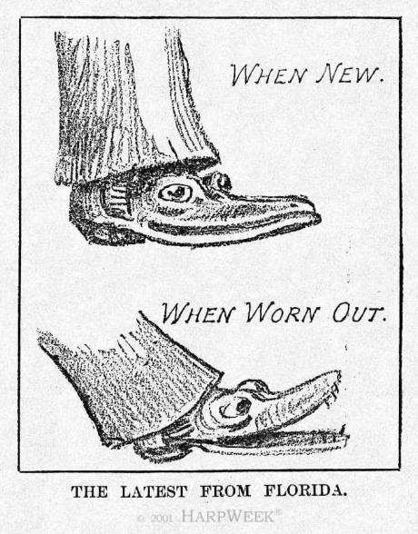 �The Latest from Florida�