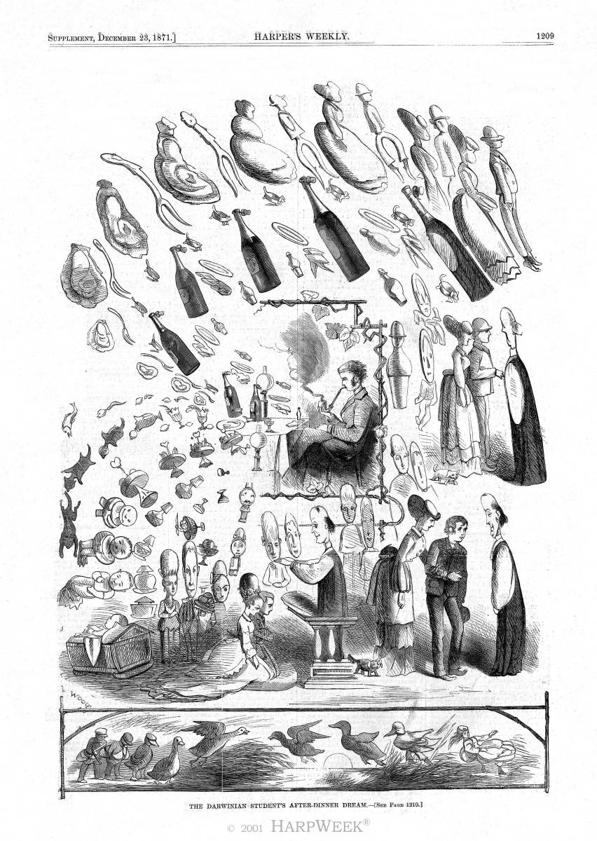 �The Darwinian Student�s After-Dinner Dream�