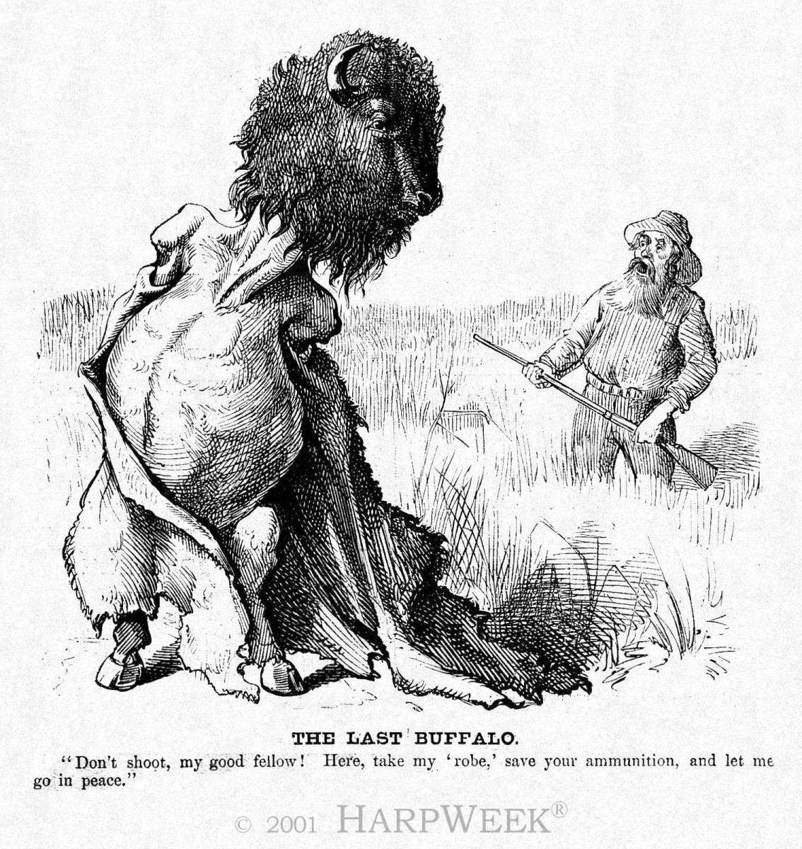 �The Last Buffalo�