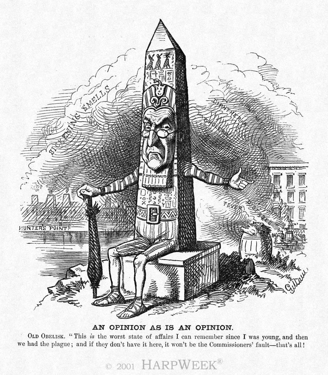 "An Opinion As Is An Opinion"