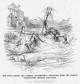 �The South � [and] the � Mississippi�