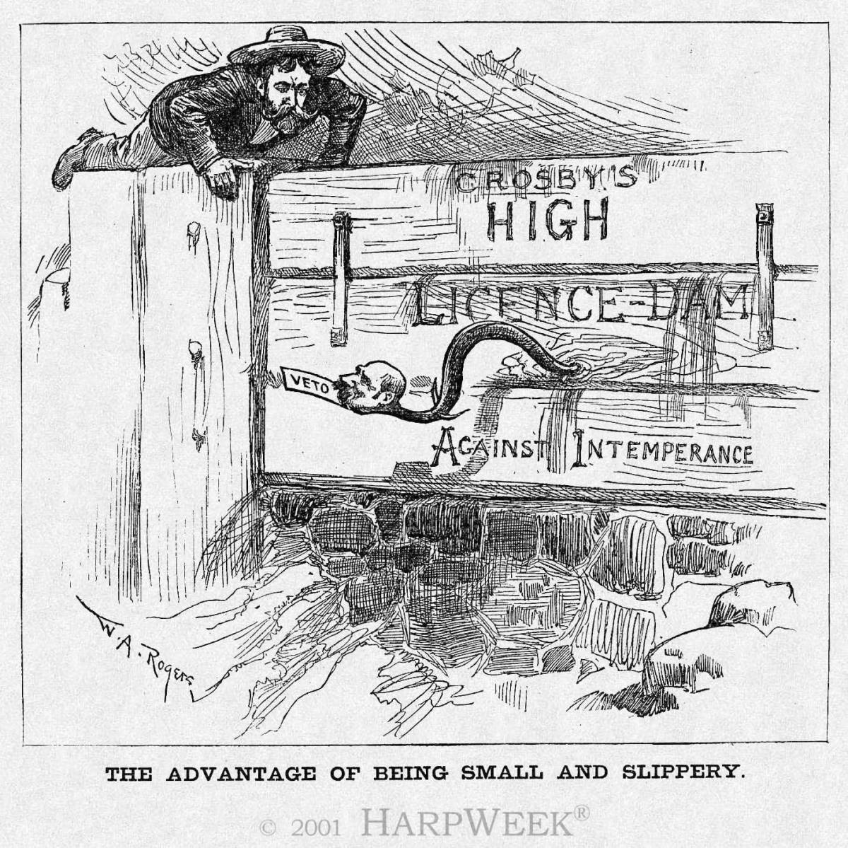 �The Advantage of Being Small and Slippery�